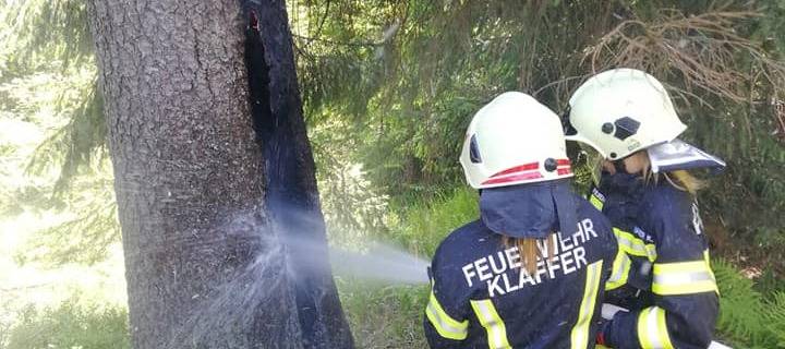 Baumbrand Schwarzenberg