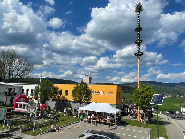Maibaum 2025