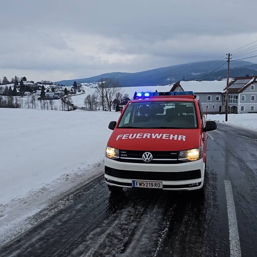 Assistenzleistung Polizei